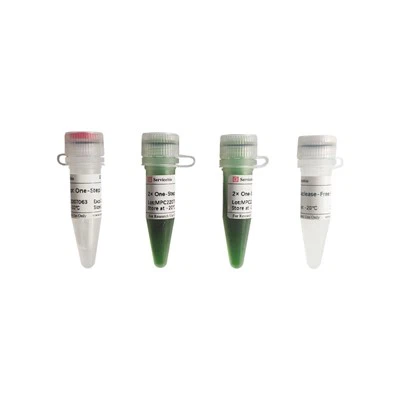 SweScript Et-trin RT-PCR Kit